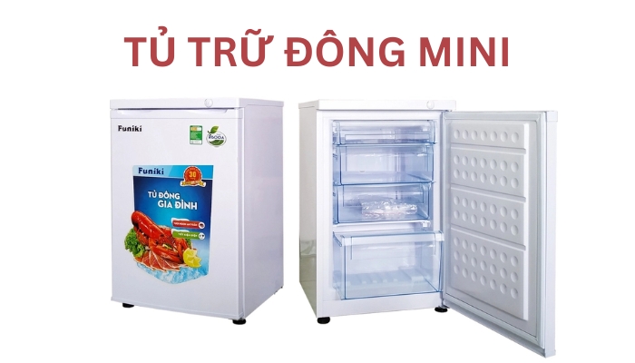 Tủ trữ đông mini