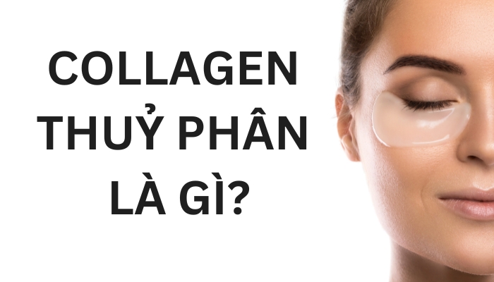 collagen thủy phân là gì