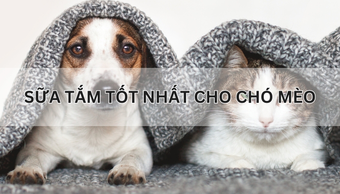 sữa tắm tốt nhất cho chó mèo